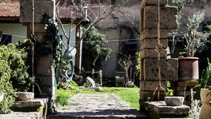 Una escalera de piedra que conduce a la entrada de un edificio, rodeada de plantas en macetas y un rústico muro de piedra.