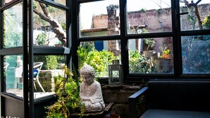 Una habitación con amplios ventanales, una estatua de Buda y diversas plantas en macetas.