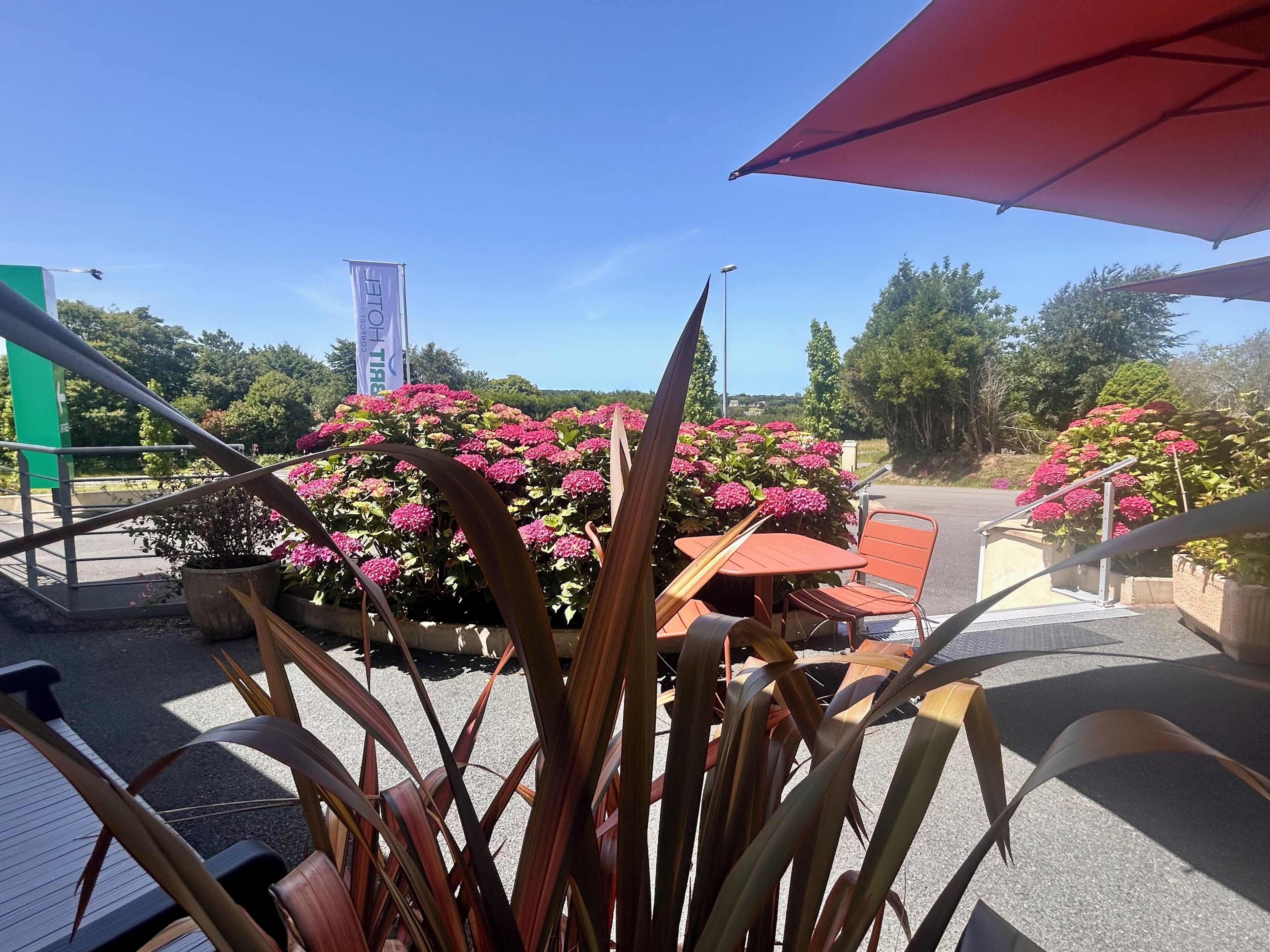 Un espace patio aménagé avec des meubles d’extérieur, des plantes en pot et une vue dégagée sur le paysage environnant.