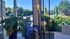 Blick durch eine Glastür mit einem Blumentopf, Werbematerialien und Pendelleuchten.