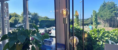 A view through a glass door with a potted plant, promotional materials, and hanging light fixtures.