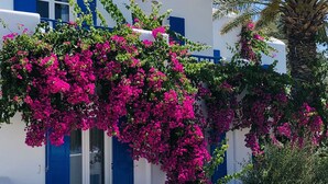 A white building with blue shutters and a stone wall. - Anemos Studios & Apartments (Mykonos)