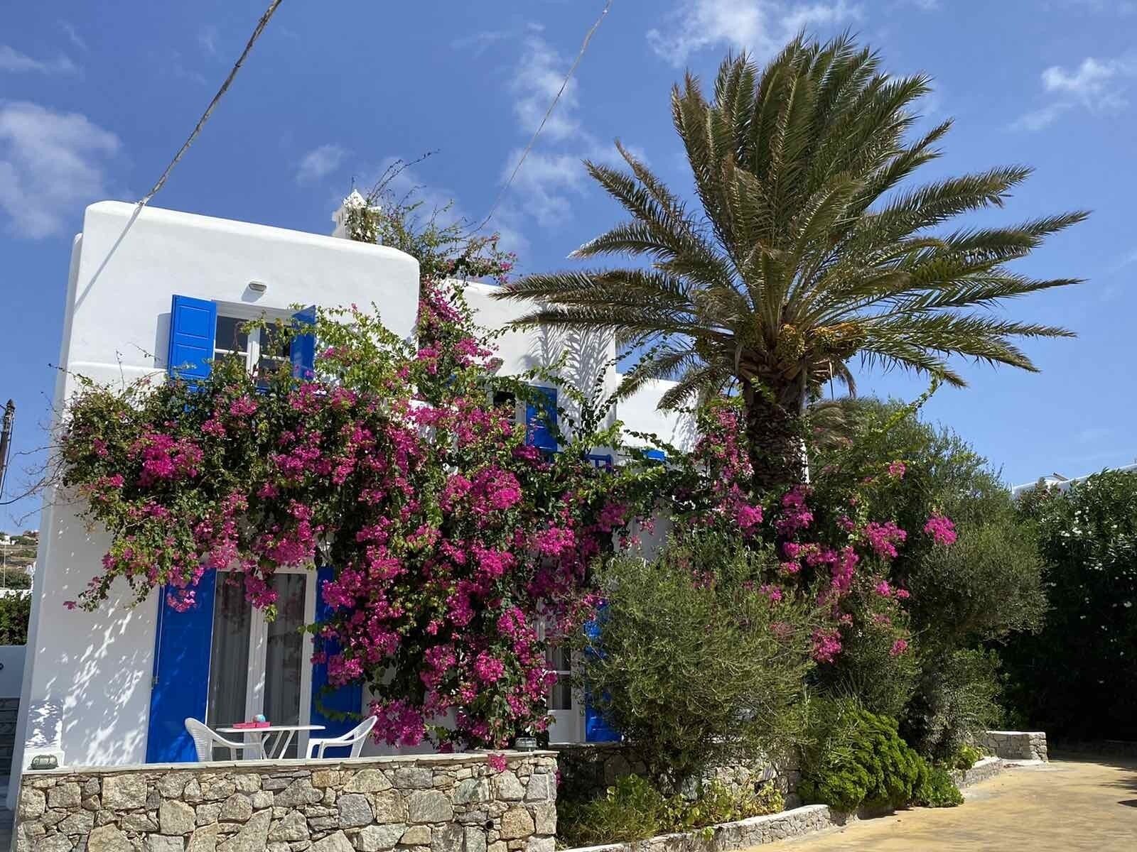 Foto - Anemos Hotel & Apartments