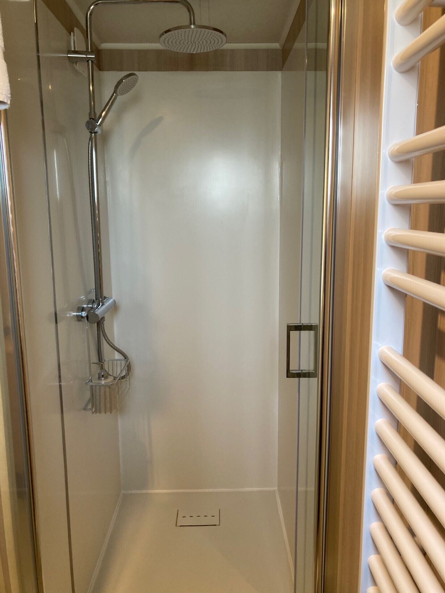 A glass-enclosed shower area with a handheld showerhead and a wall-mounted rain showerhead.