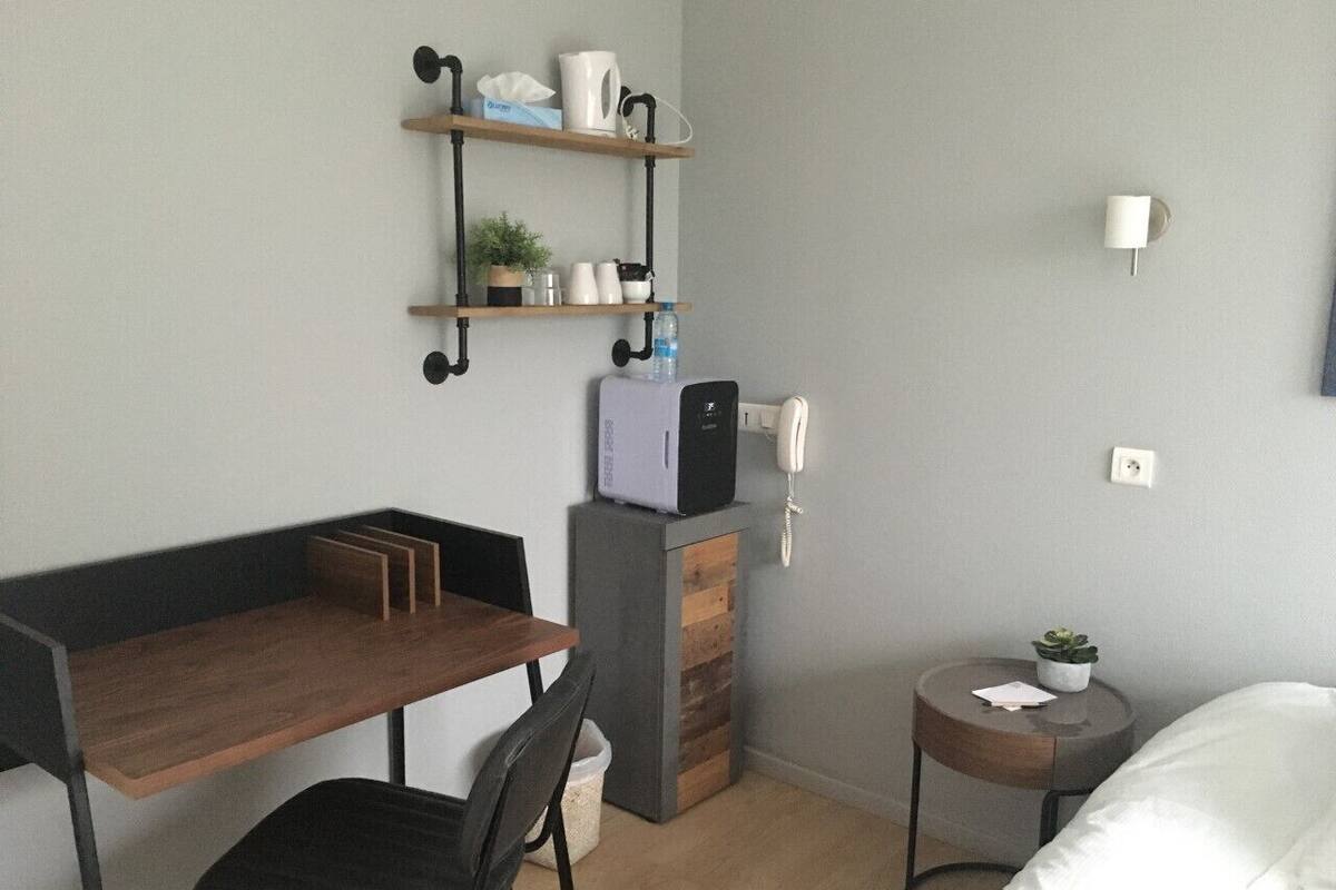 A compact hotel room with a wooden desk, a chair, a bed, a small bedside table with a lamp, a shelf with toiletries, and a potted plant.