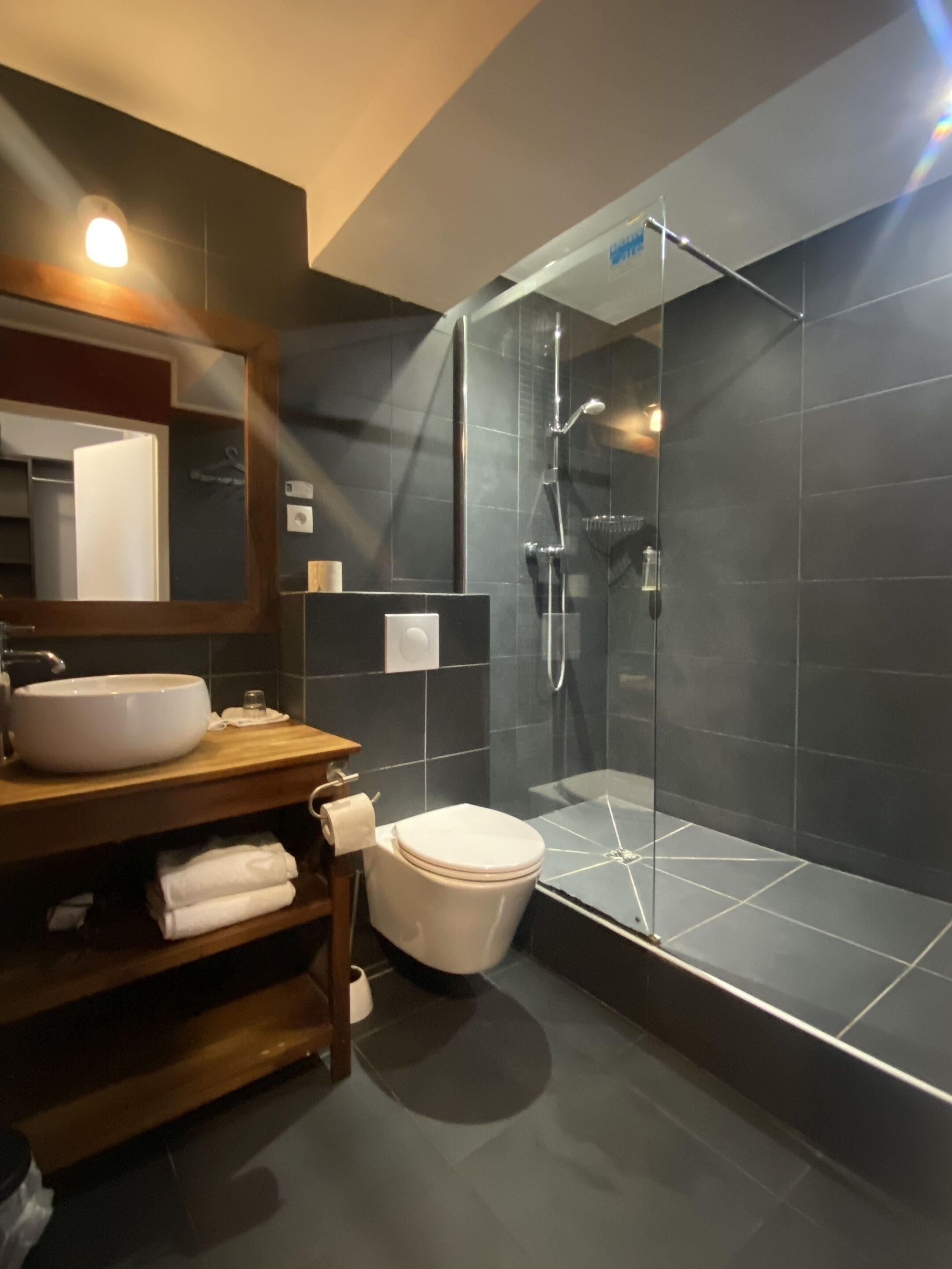 A modern bathroom with a glass-enclosed shower, a sink, and a toilet.