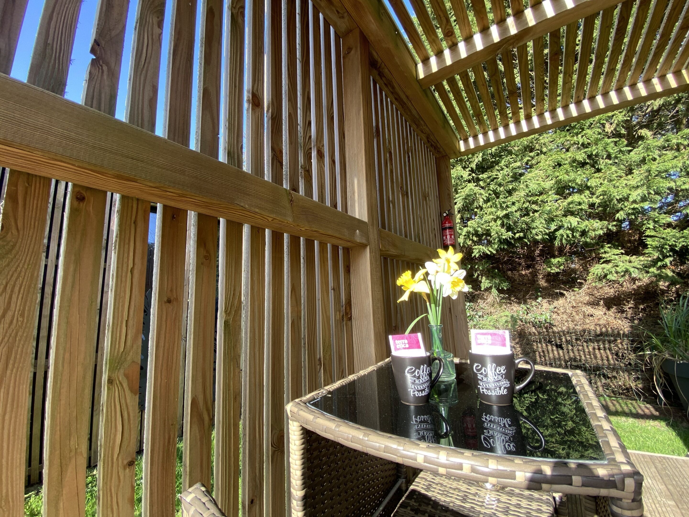 Cottage, Accessible, Ensuite | Terrace/patio