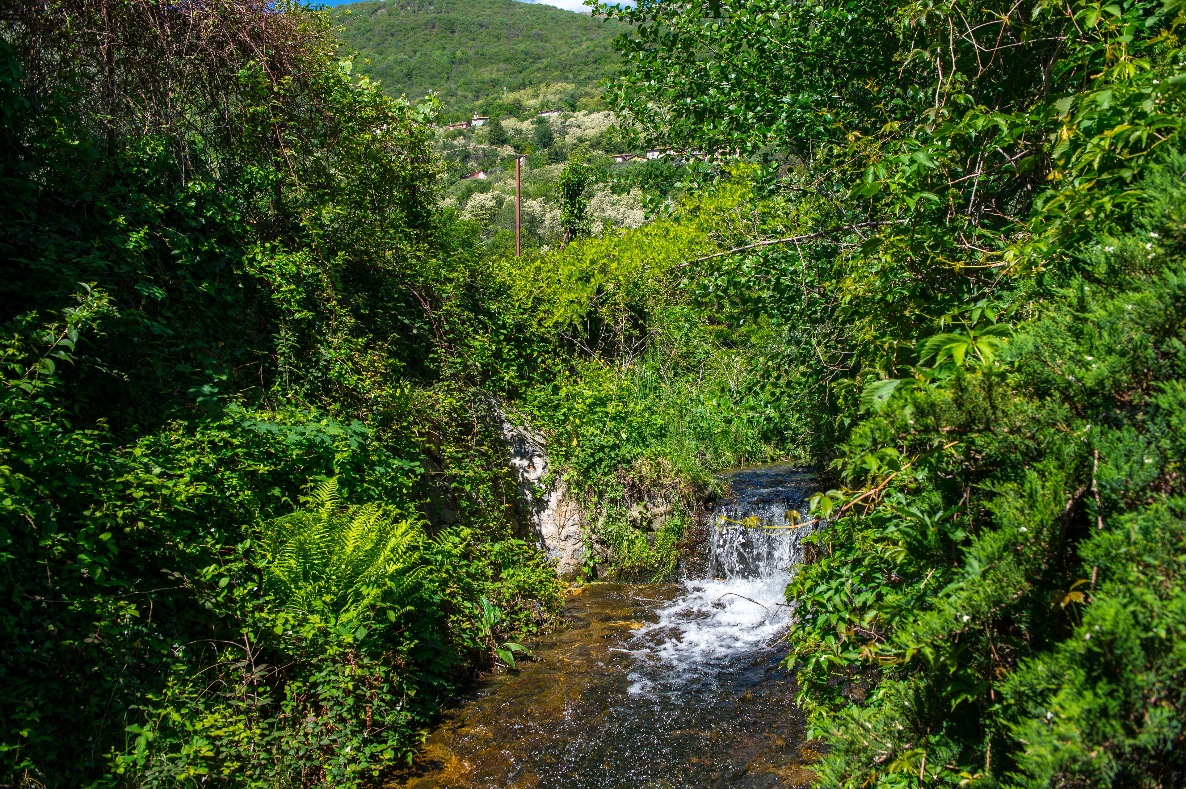 A natural landscape with a stream surrounded by dense greenery and a distant view of a village.