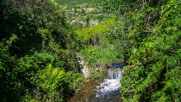 A natural landscape with a stream surrounded by dense greenery and a distant view of a village.