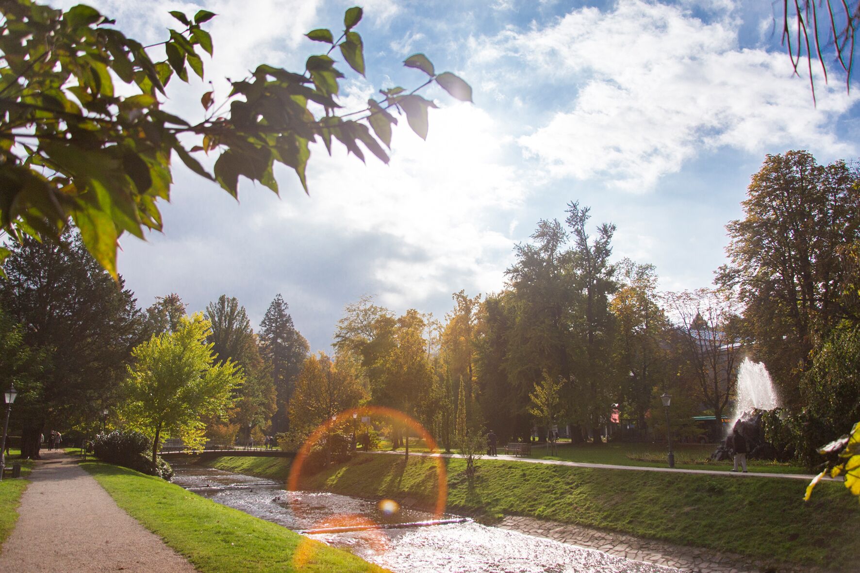 A park with a paved walkway, a small stream, and trees.