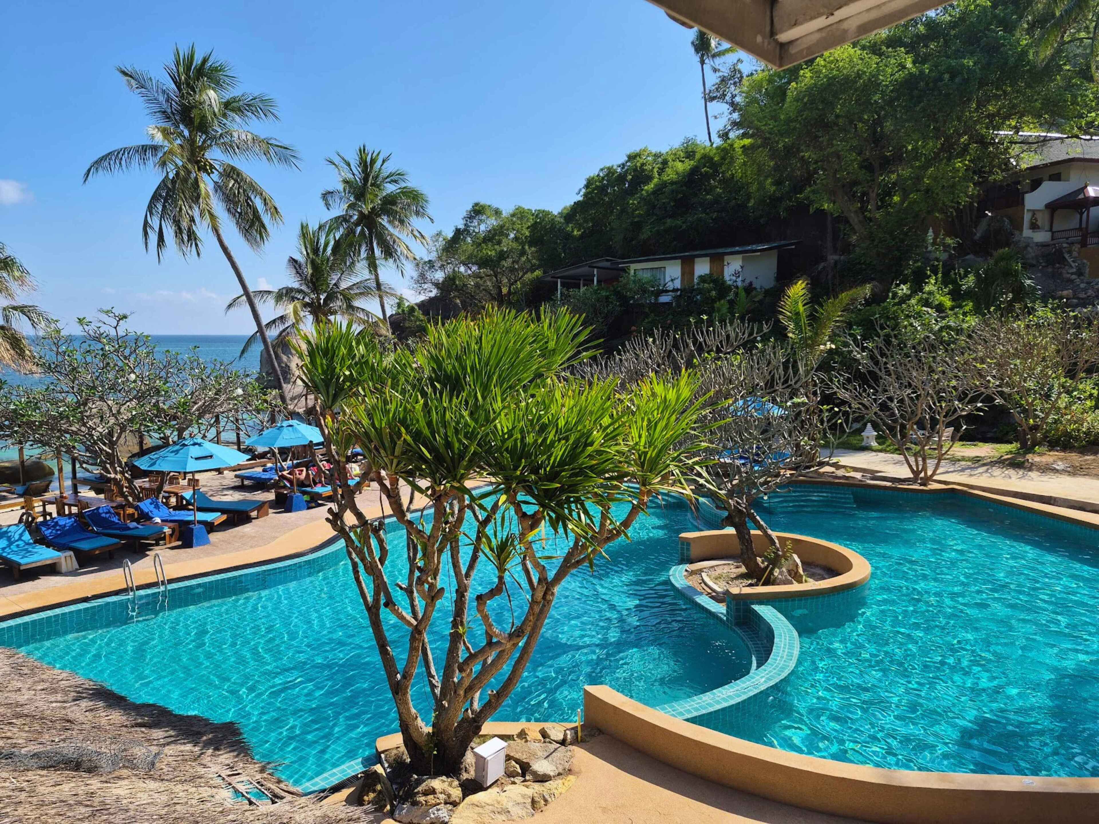 Een buitenzwembad, parasols bij het zwembad en ligstoelen