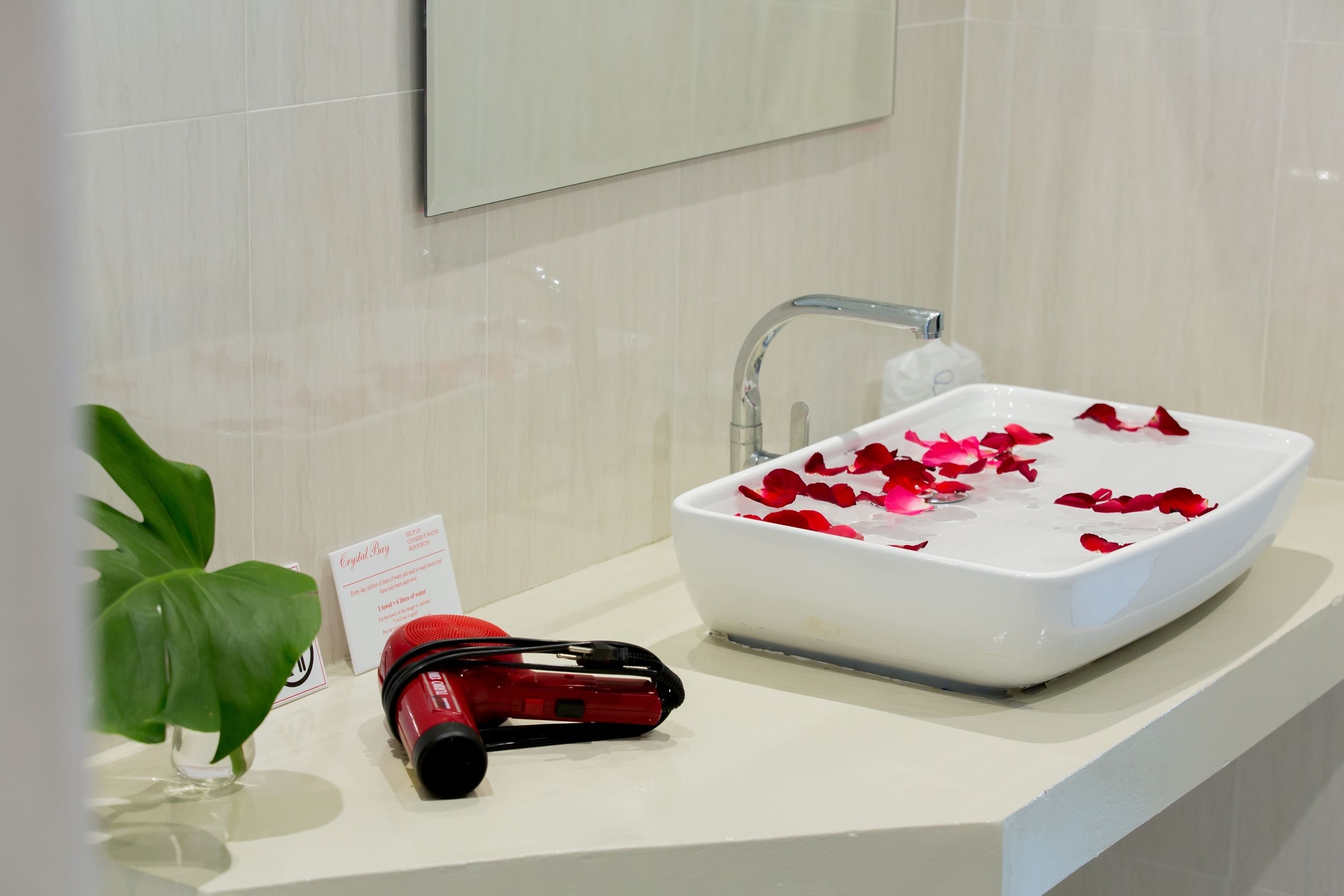 Un baño con un lavabo blanco, un espejo y una planta.