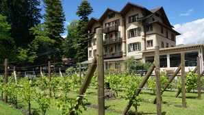 A multi-story building with balconies, surrounded by a vineyard.
