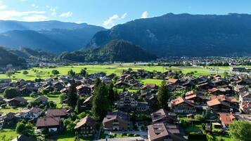 A residential area with houses, a large building, and mountains in the background.