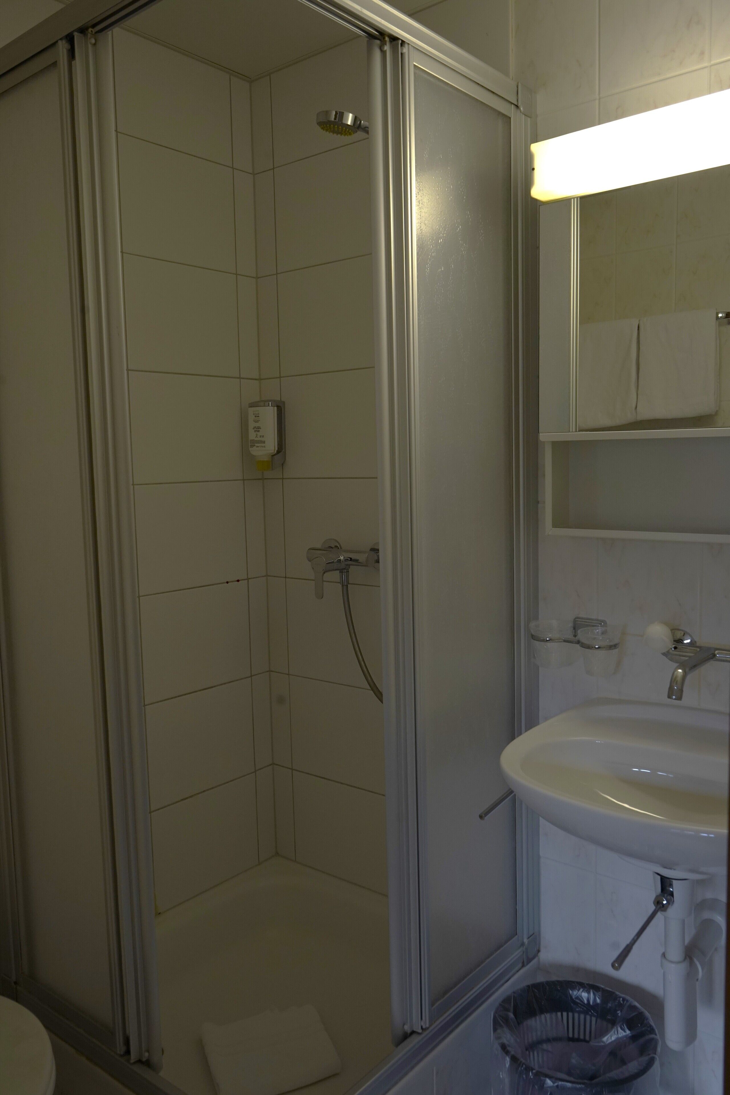 Un baño con ducha acristalada, lavamanos e inodoro.