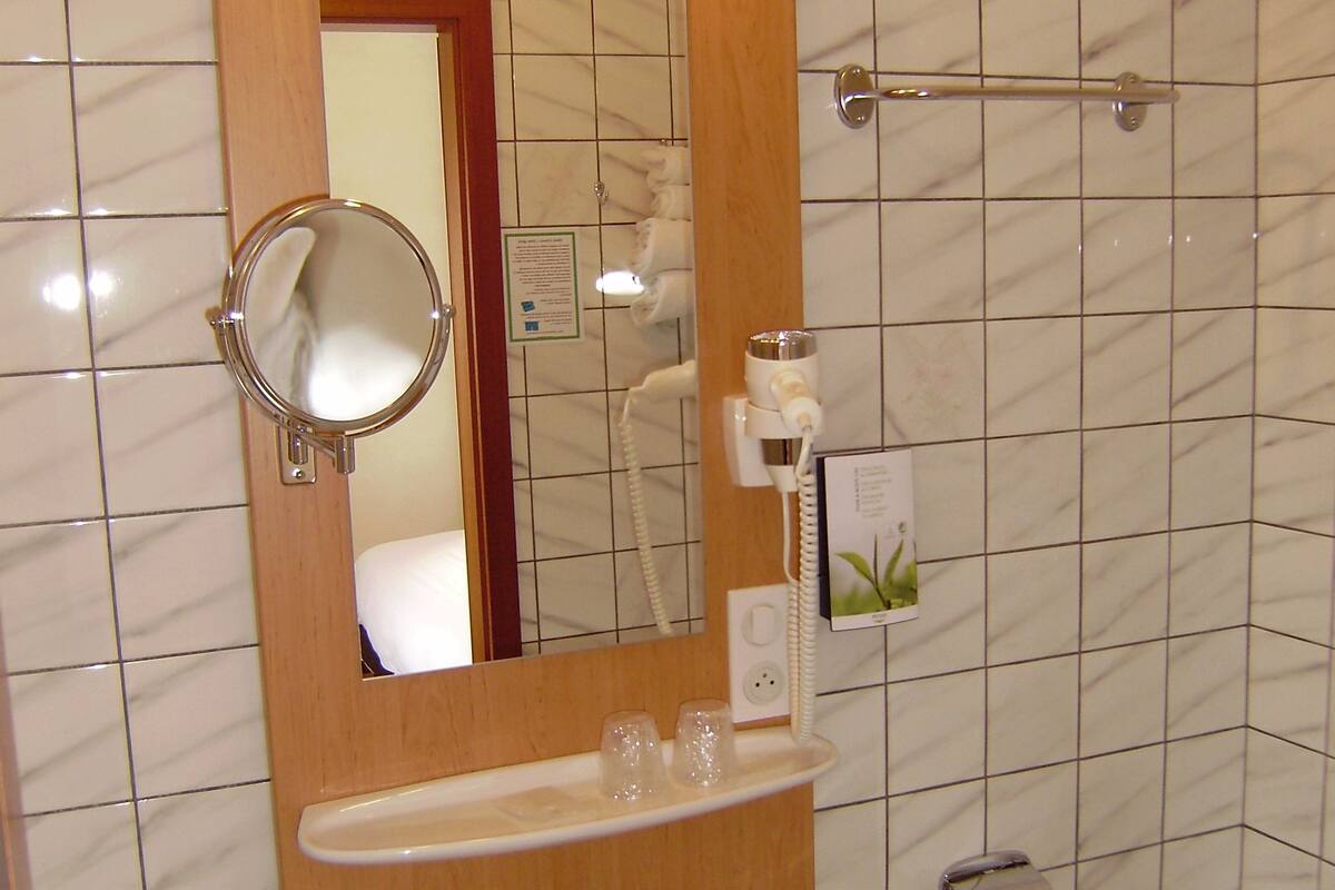 basic double room (basic) | bathroom amenities | shower, free toiletries, hair dryer, towels