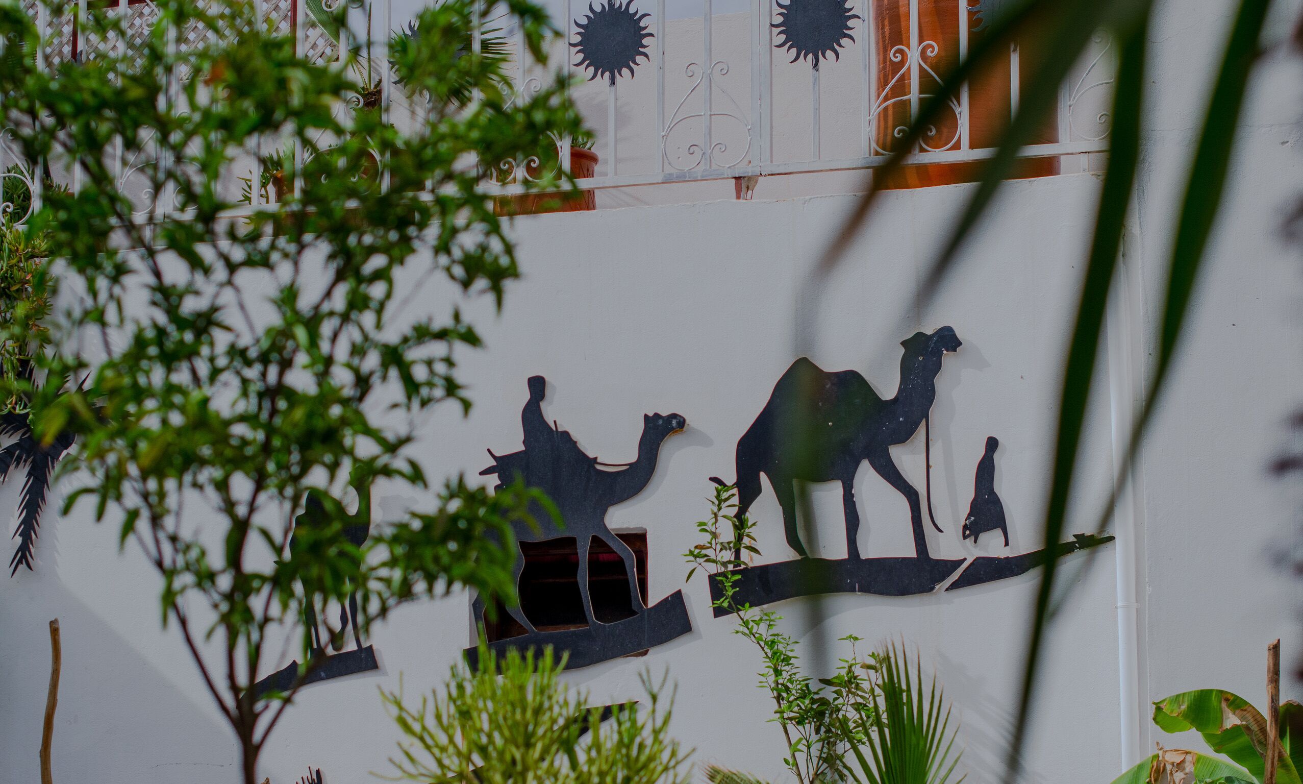 Foto - Riad L'Orchidée Suites & Spa