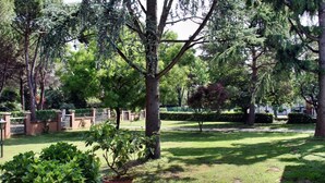 Um jardim bem cuidado com diversas árvores e arbustos, um caminho pavimentado e um pequeno vaso de planta em primeiro plano.
