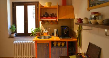 B&B Bonsignori