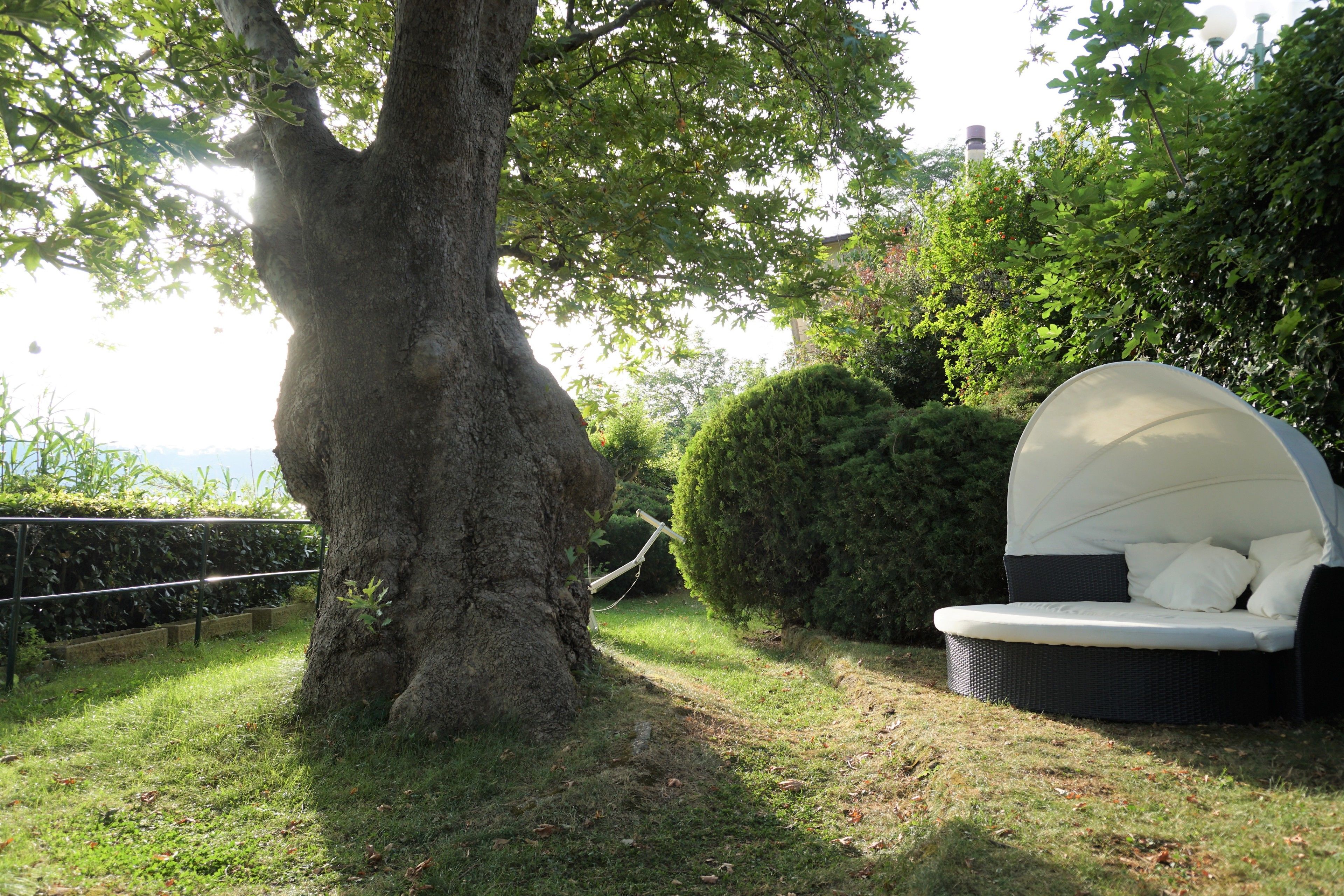 Un jardín con un árbol grande, un seto y una zona de estar exterior blanca con cojines.