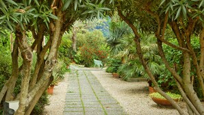 A garden pathway lined with trees and potted plants, leading to a bench. - Hotel La Culla del Lago (Castel Gandolfo)