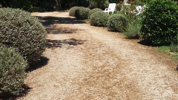 Courtyard - Immobiliare Podere 13 (Orbetello)