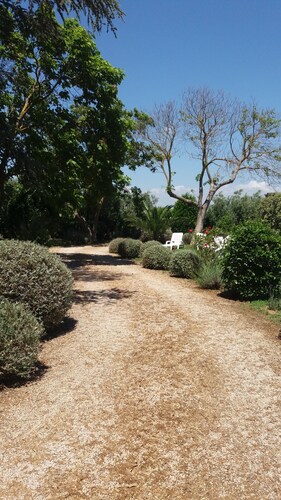 Immobiliare Podere 13