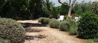 Immobiliare Podere 13