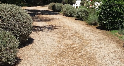 Immobiliare Podere 13