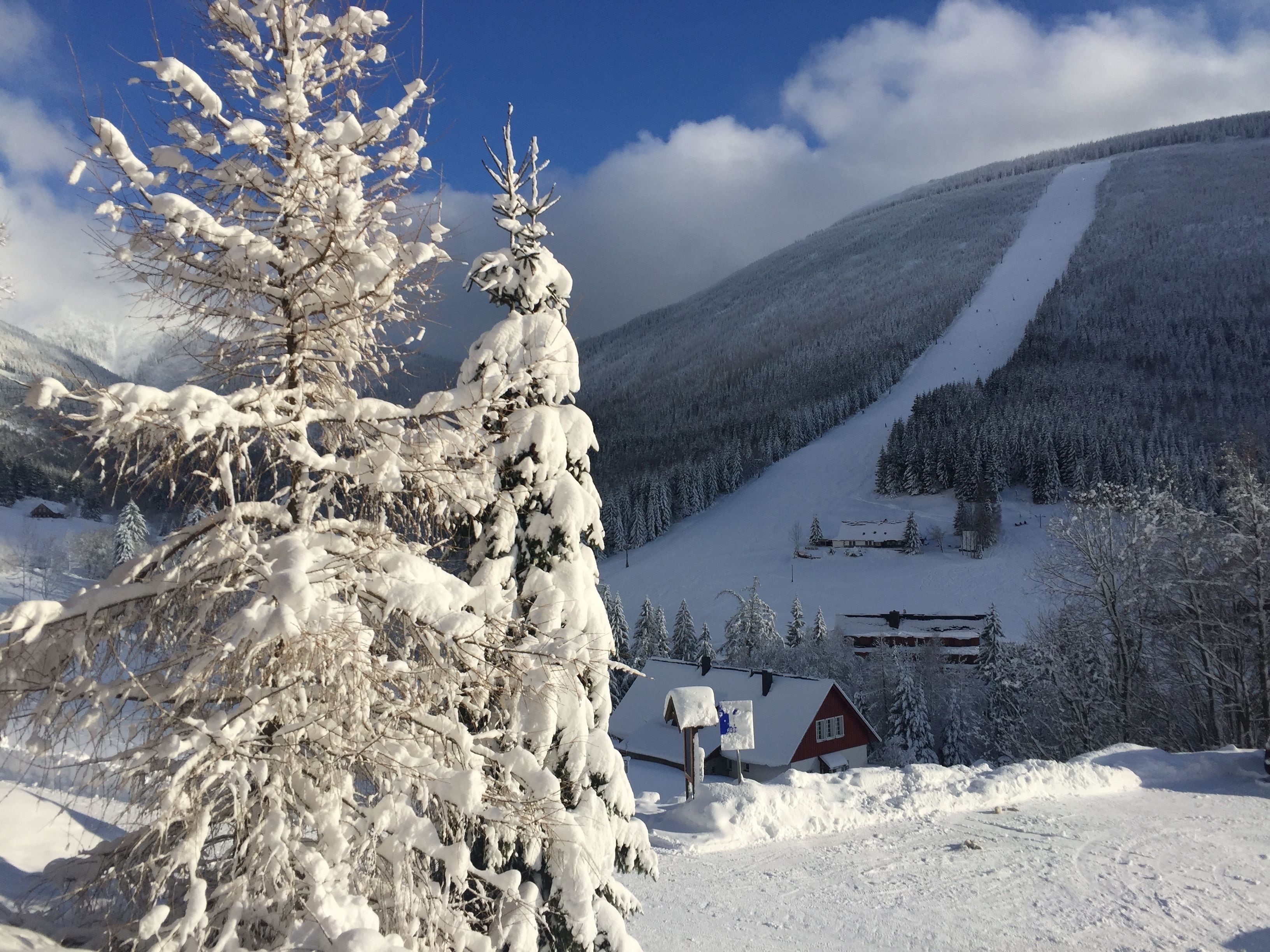 A snow-covered mountain landscape with a ski slope, a red building, and a large evergreen tree.