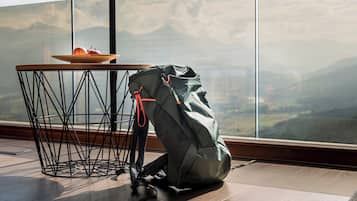 Habitación de lujo doble | Minibar, caja fuerte, escritorio y wifi gratis