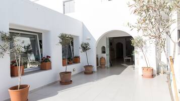Un edificio blanco con ventanas amplias, plantas en macetas y un arco de entrada.