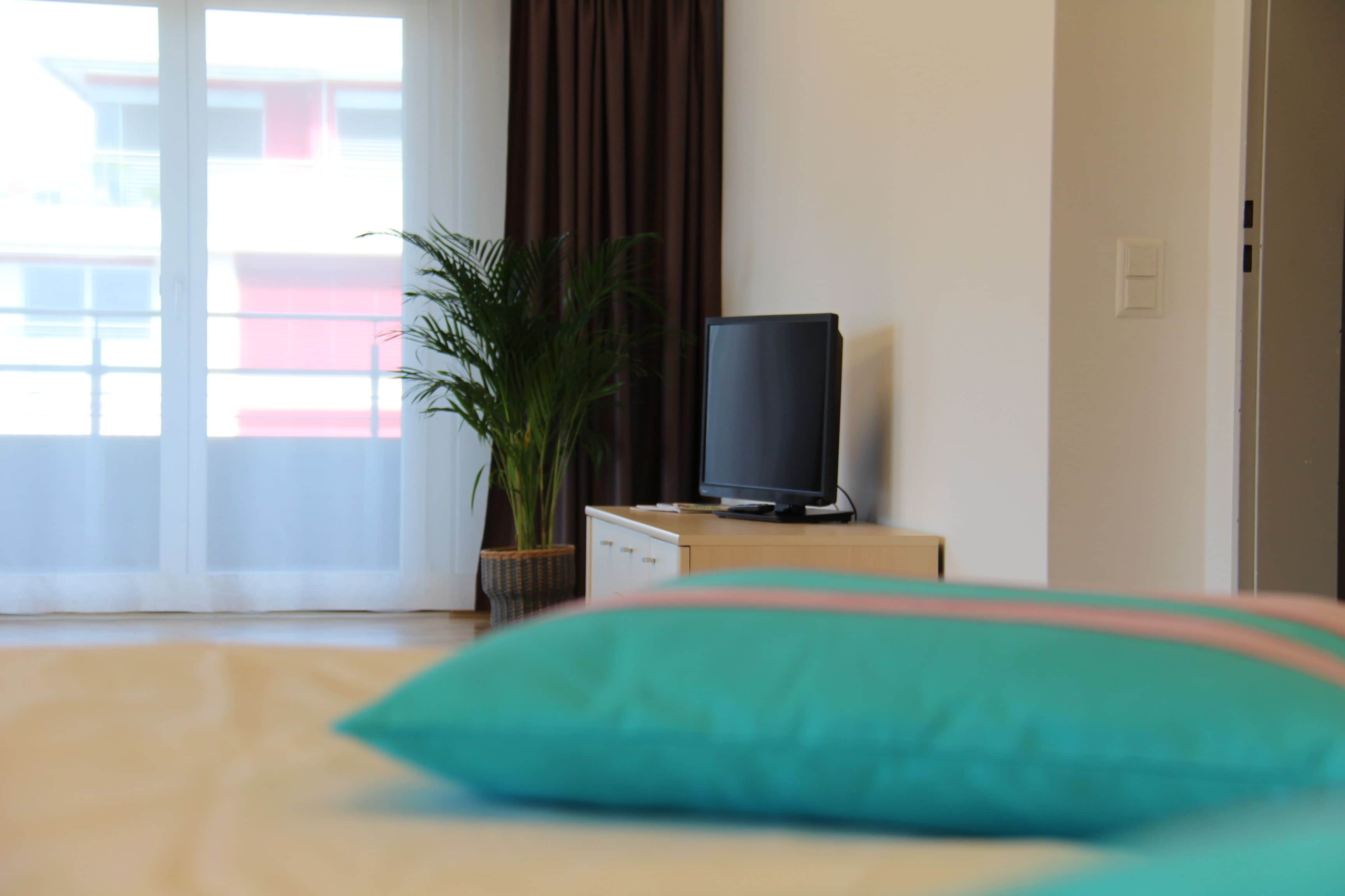 Une chambre d’hôtel avec un lit, un téléviseur posé sur un meuble, une plante en pot et une vue sur l’extérieur par une fenêtre.