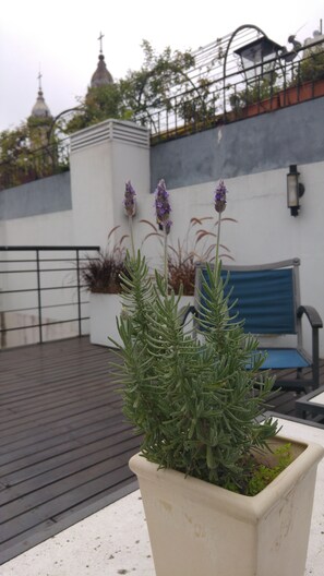 Sun deck - Telmho Hotel Boutique (Buenos Aires)