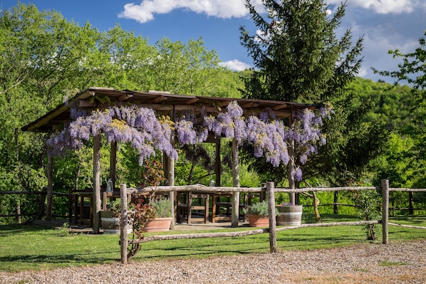 A wooden gazebo with purple flowers, surrounded by a gravel path and greenery.