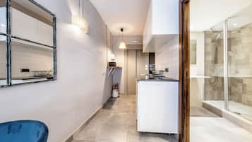 Superior Studio, Kitchenette | Living area | Plasma TV