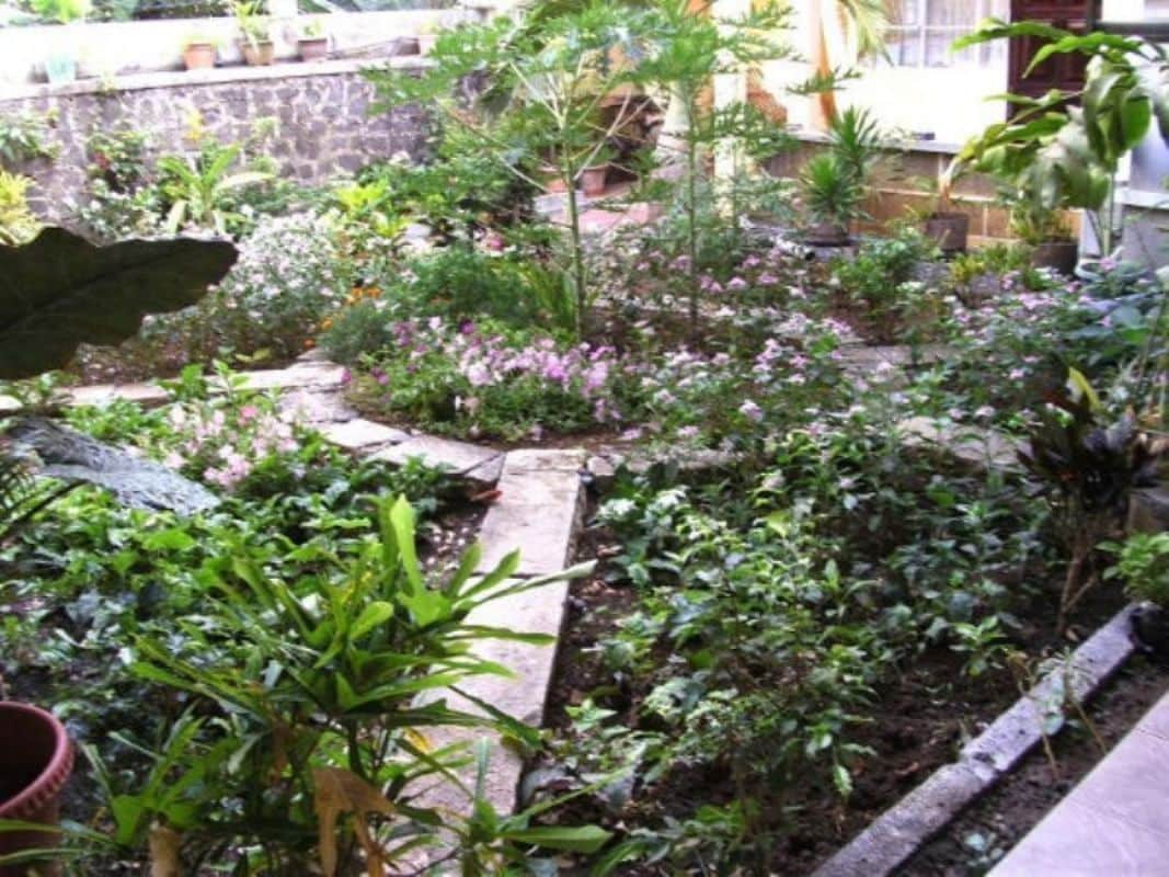 Foto - Auberge Le Saladier