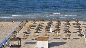 Una playa con hileras de sombrillas de paja y algunas cabañas.