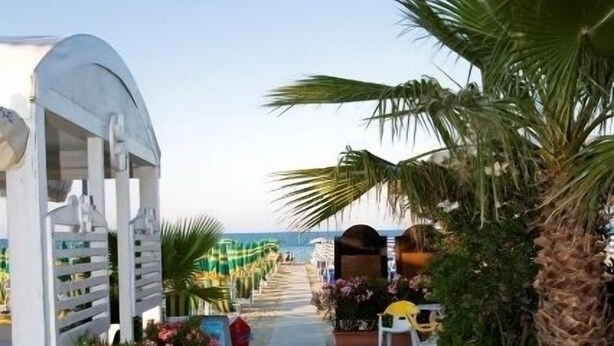 Un sentier bordé de palmiers et de plantes en pot qui mène à une zone de plage.