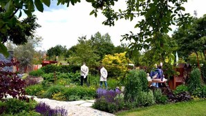 Un jardín con un sendero empedrado, diversas plantas y personas caminando.