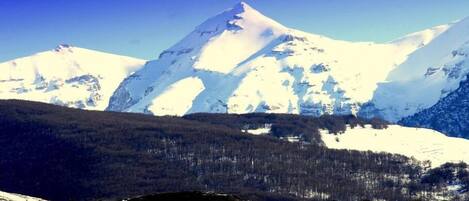 Paisaje montañoso con picos nevados y un valle cubierto de bosque.