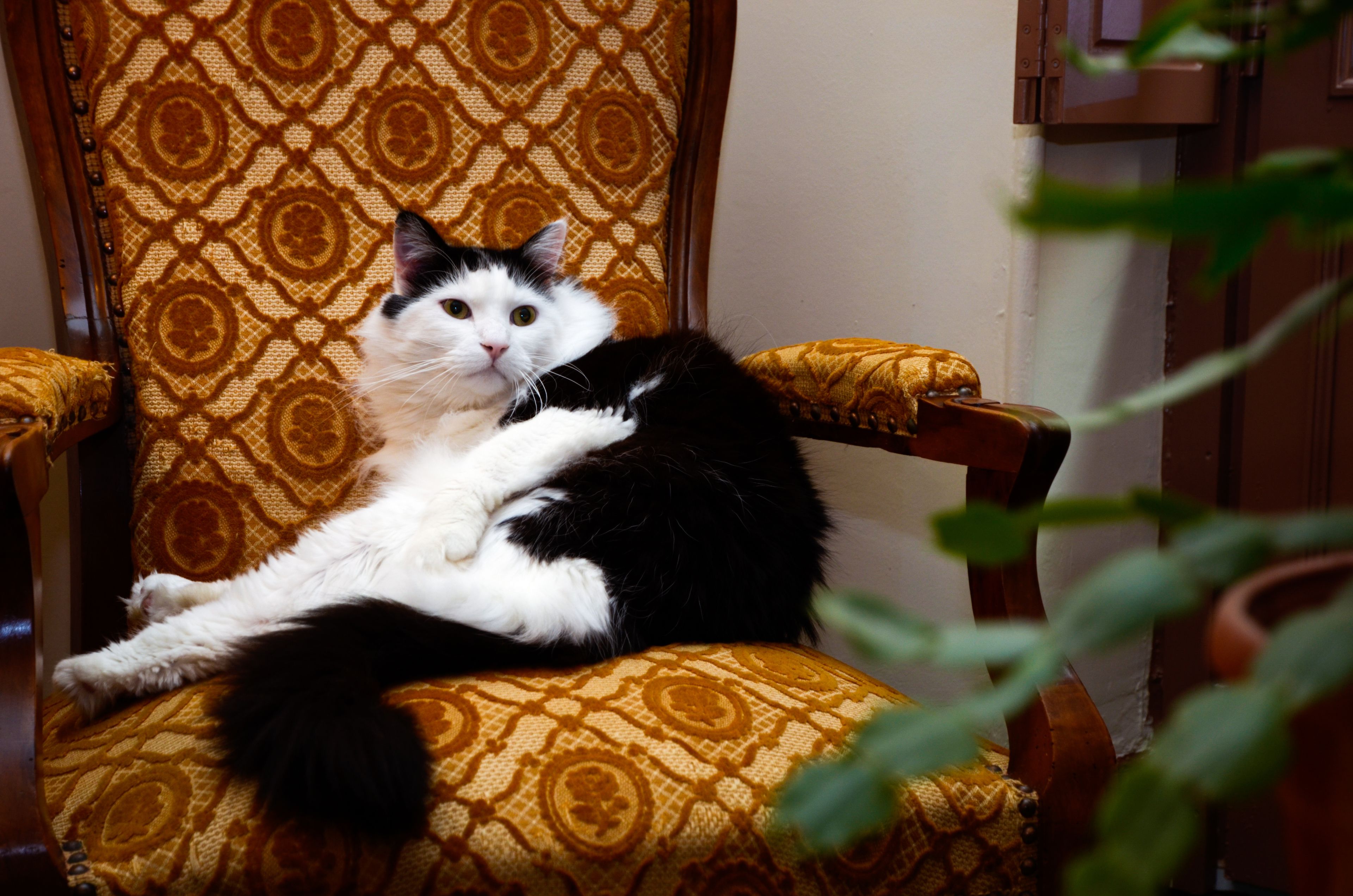 Foto - Hôtel Héliot, Cosy Places by Charme & Caractère