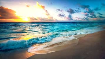 Immersioni subacquee, snorkeling, pesca