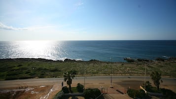 Vistas desde el alojamiento