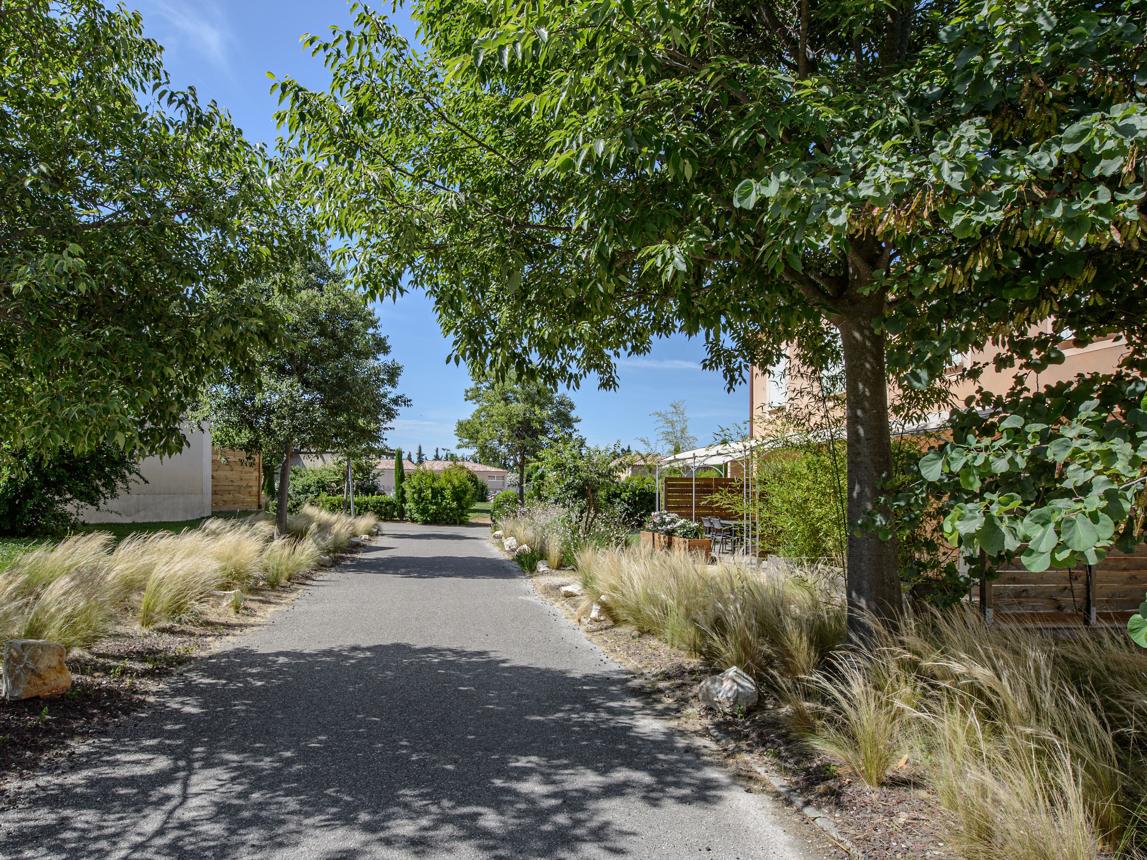 Un chemin pavé, bordé d’arbres et d’arbustes, mène à un bâtiment doté d’un toit en pente.
