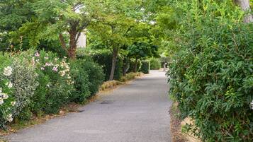 A paved pathway flanked by dense greenery and flowering plants.