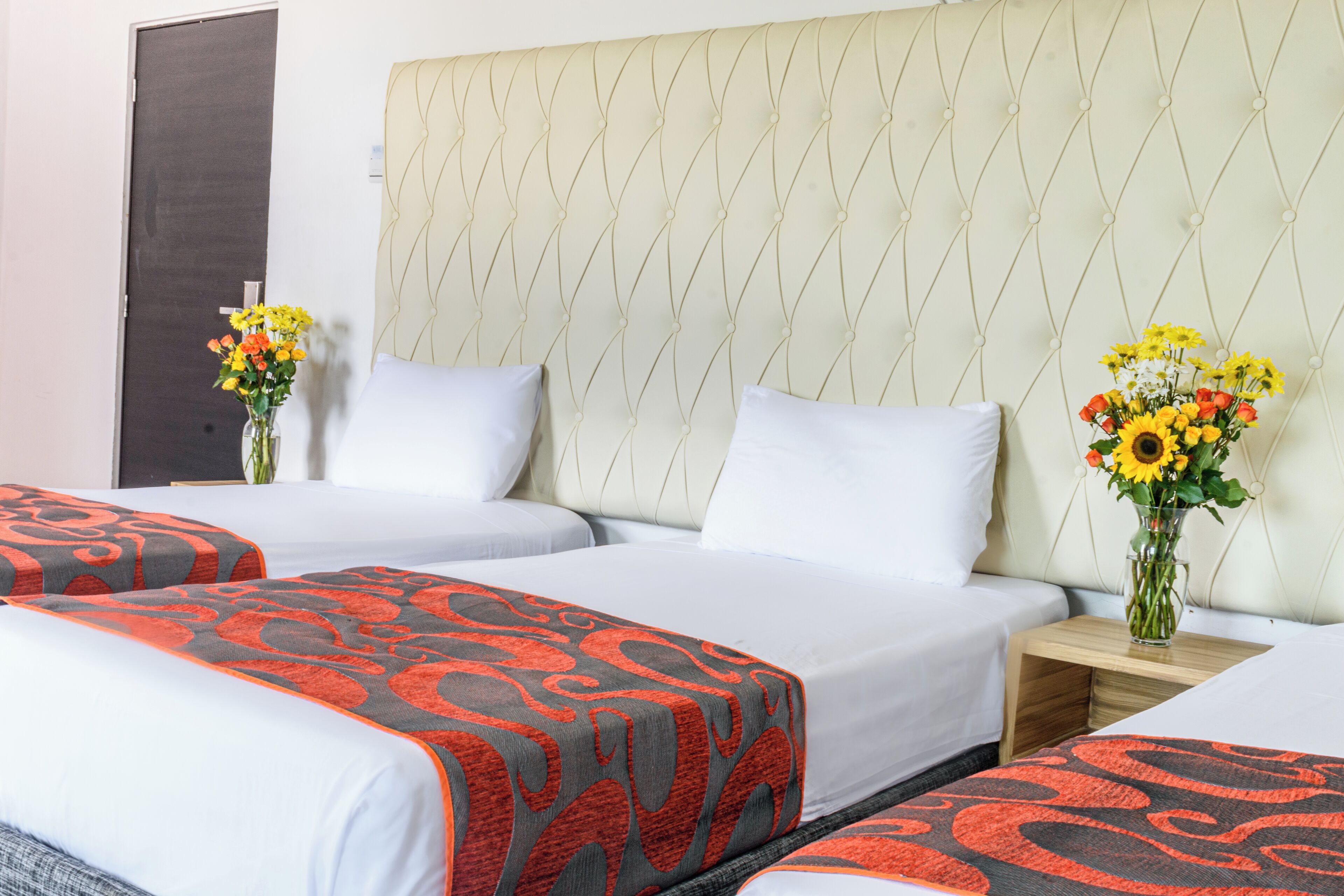 Foto - Hotel Caribe Plaza Barranquilla