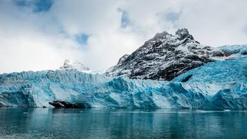 A glacier with a body of water in front.