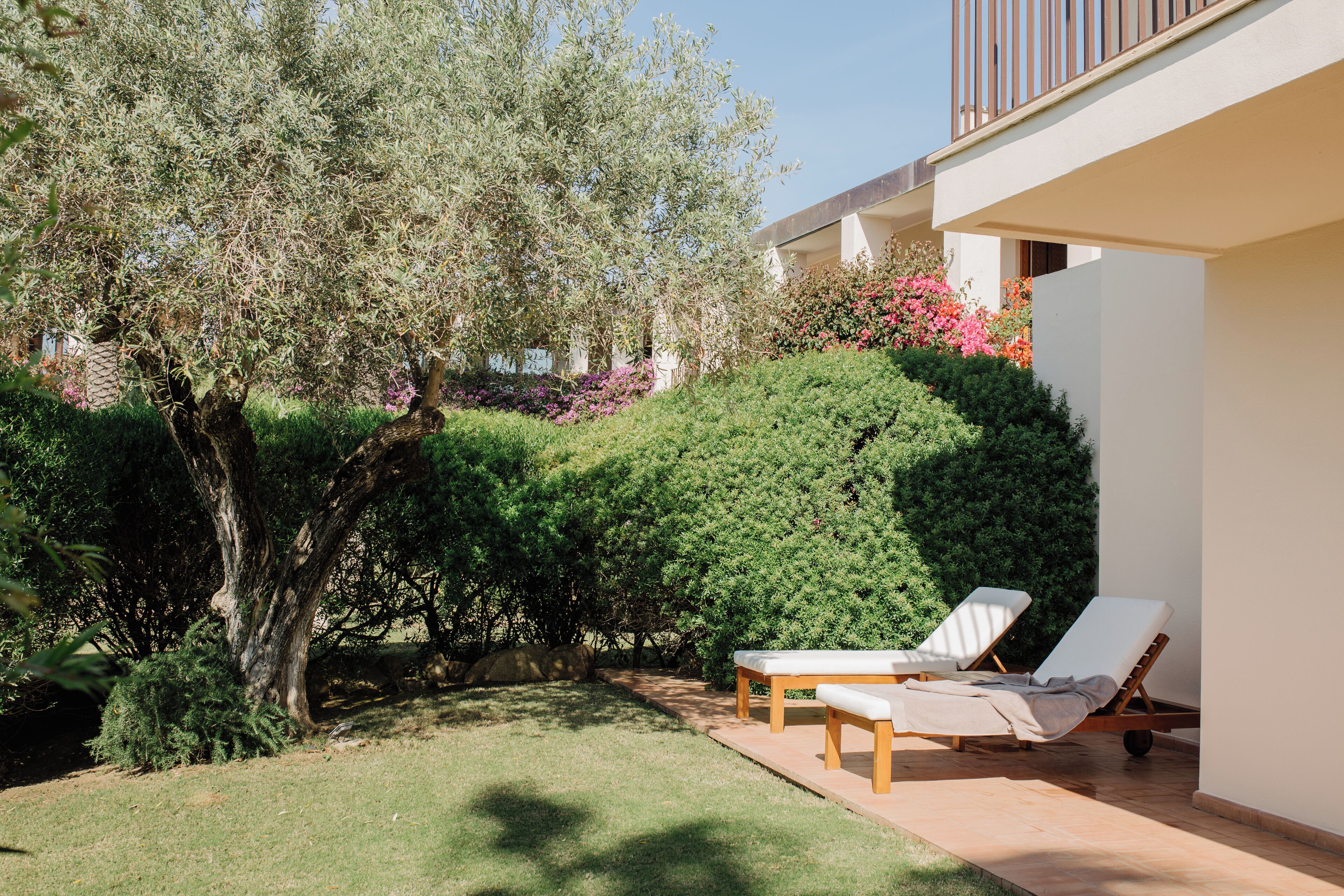 Een modern terras buiten met een houten bank en twee loungestoelen, omgeven door weelderige begroeiing en een grote boom.