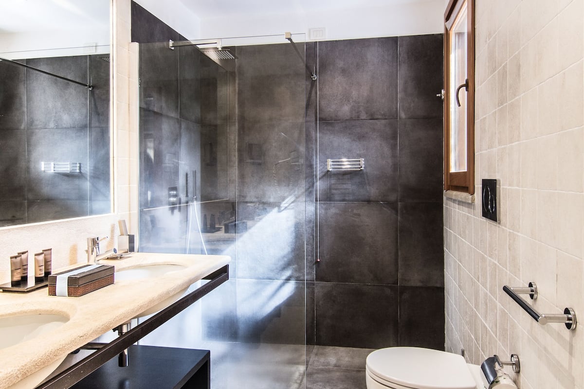 shower, free toiletries, hair dryer, towels